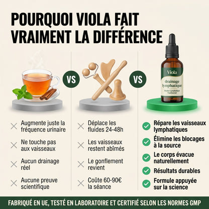 Viola — Drainant lymphatique