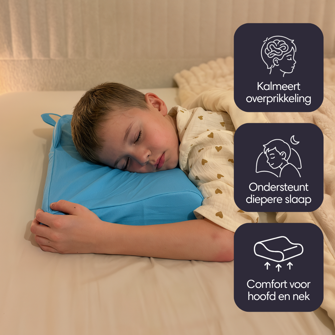Plumino Chien – oreiller apaisant enfant (8)