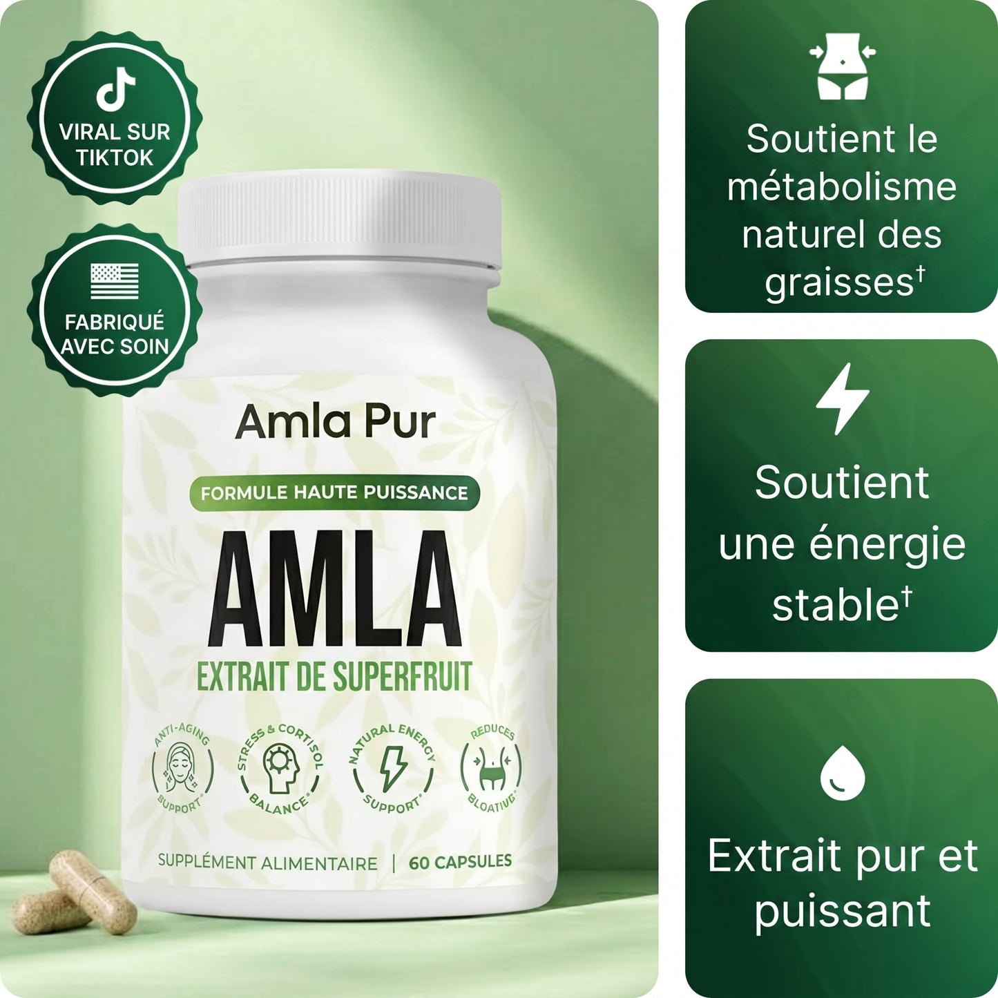 Amla Pur — Énergie Mitochondriale