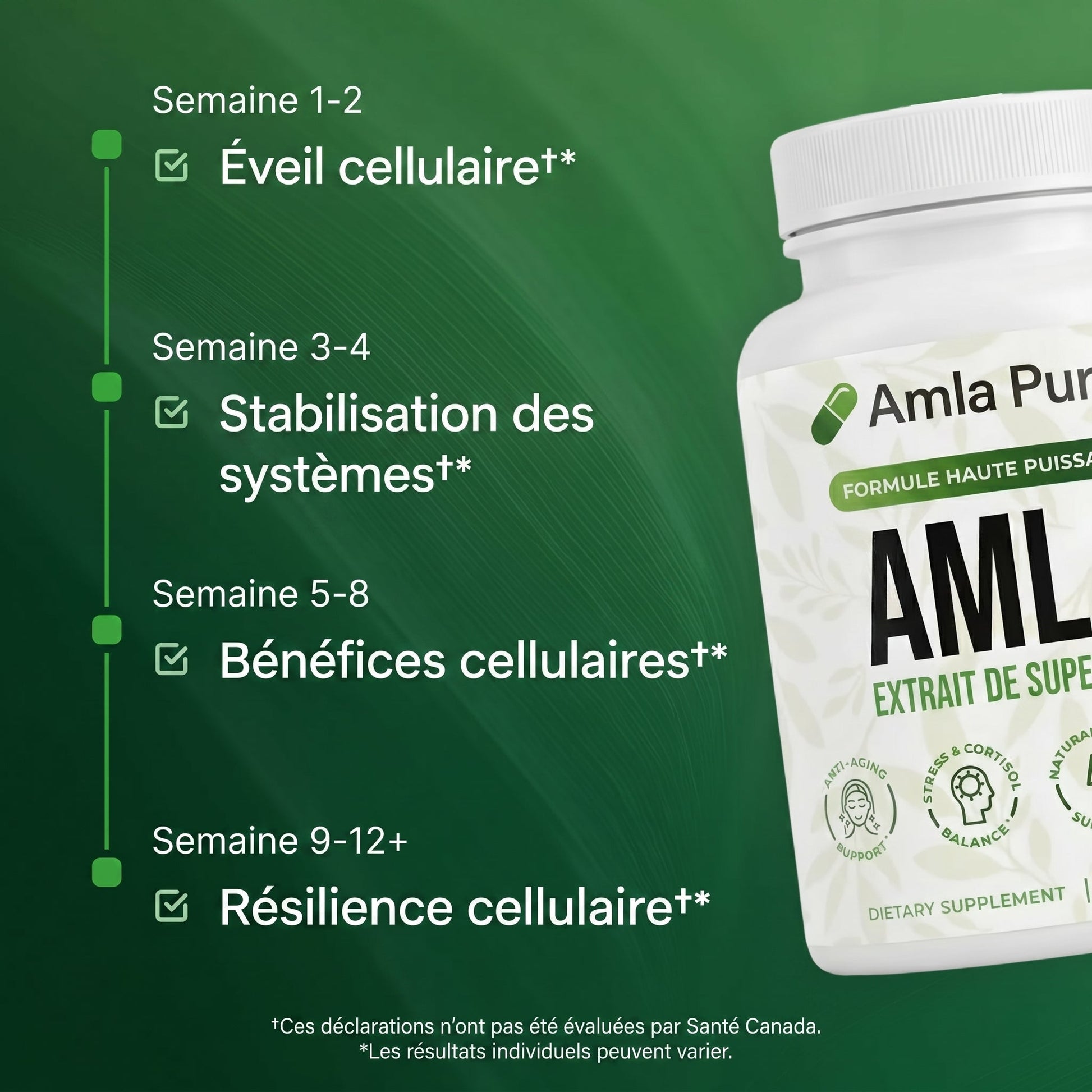Amla Pur — Énergie Mitochondriale