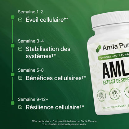 Amla Pur — Énergie Mitochondriale