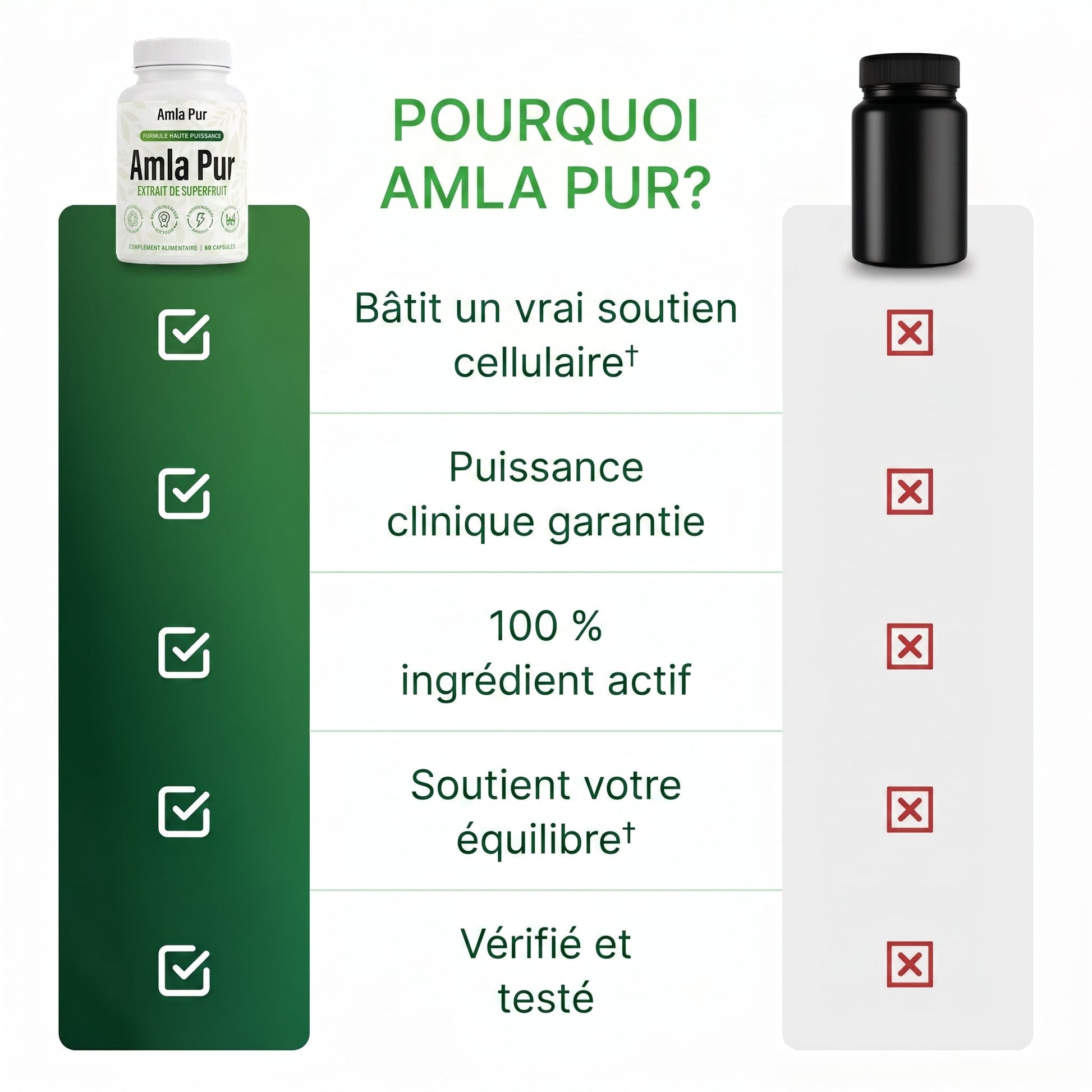 Amla Pur — Énergie Mitochondriale