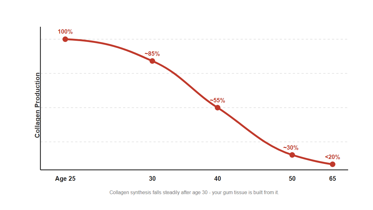Collagen production decline by age